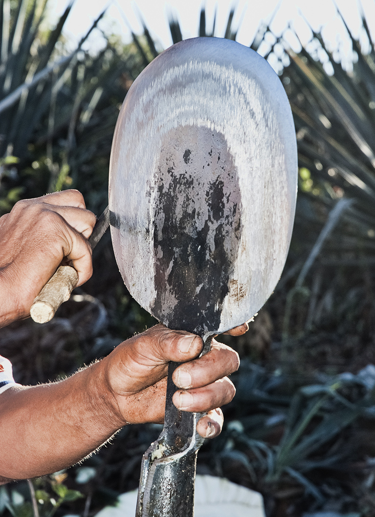 Espanita - coa tool used in harvesting Agave